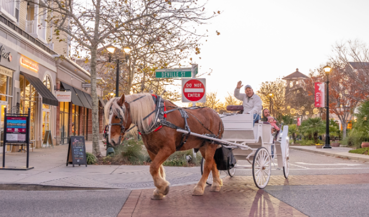Valentine’s Day Carriage Rides